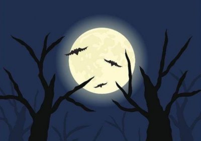 <a href='http://www.zsyyek.com/jsfl/' target='_blank' title=''><span style='color: #0000ff'><strong></strong></span></a>֢ҽԺ